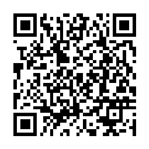 Link to your fundraiser QRCode - Fundraising