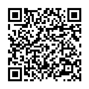 Link to your fundraiser QRCode - Fundraising
