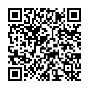 Link to your fundraiser QRCode - Fundraising