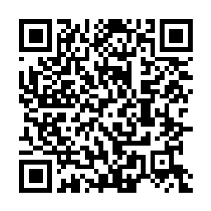 Link to your fundraiser QRCode - Fundraising