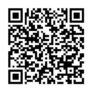Link to your fundraiser QRCode - Fundraising