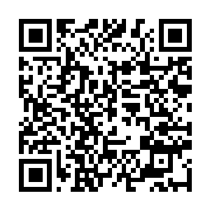 Link to your fundraiser QRCode - Fundraising