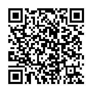 Link to your fundraiser QRCode - Fundraising