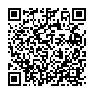 Link to your fundraiser QRCode - Fundraising