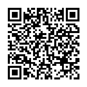 Link to your fundraiser QRCode - Fundraising