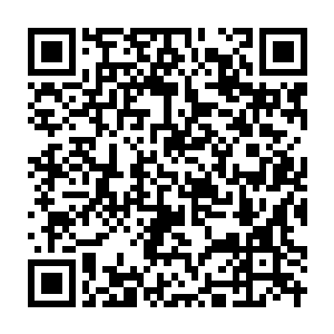 Link to your fundraiser QRCode - Fundraising