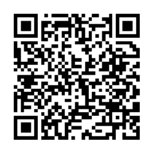 Link to your fundraiser QRCode - Fundraising