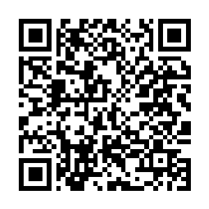Link to your fundraiser QRCode - Fundraising