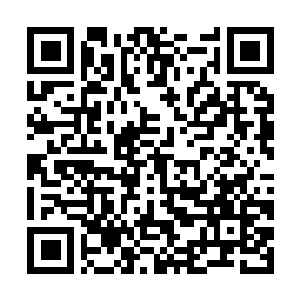 Link to your fundraiser QRCode - Fundraising