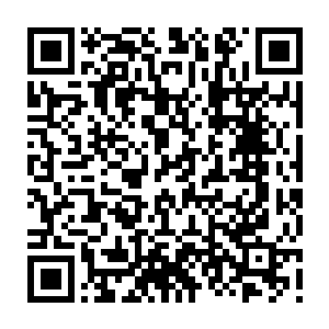 Link to your fundraiser QRCode - Fundraising