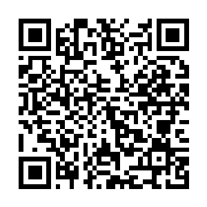 Link to your fundraiser QRCode - Fundraising