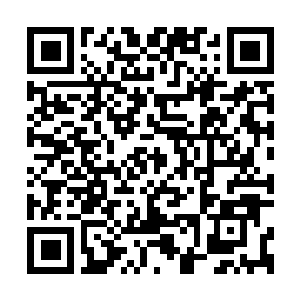 Link to your fundraiser QRCode - Fundraising