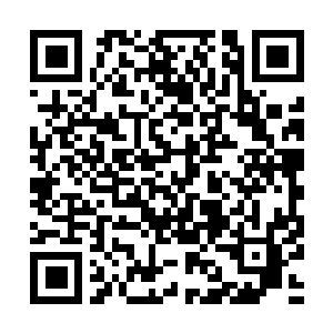 Link to your fundraiser QRCode - Fundraising