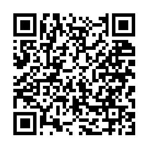 Link to your fundraiser QRCode - Fundraising