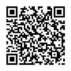Link to your fundraiser QRCode - Fundraising