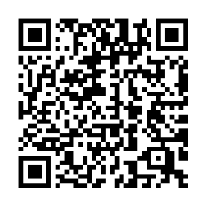 Link to your fundraiser QRCode - Fundraising