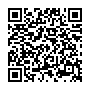 Link to your fundraiser QRCode - Fundraising