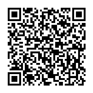 Link to your fundraiser QRCode - Fundraising