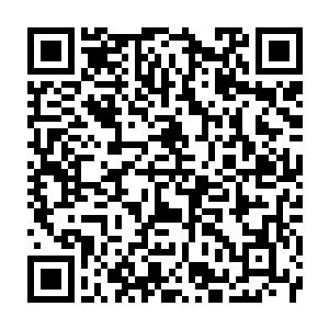 Link to your fundraiser QRCode - Fundraising