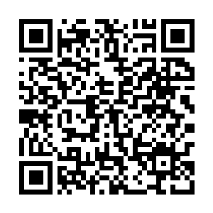 Link to your fundraiser QRCode - Fundraising