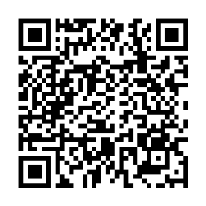 Link to your fundraiser QRCode - Fundraising