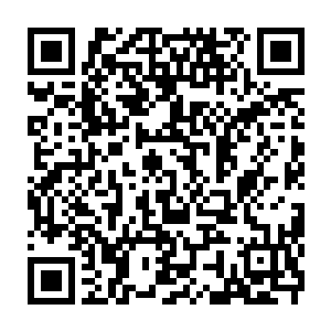 Link to your fundraiser QRCode - Fundraising