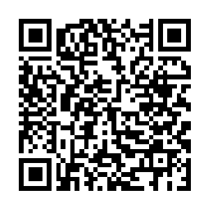 Link to your fundraiser QRCode - Fundraising