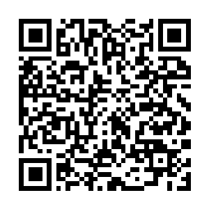 Link to your fundraiser QRCode - Fundraising