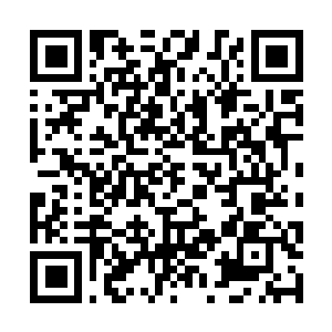 Link to your fundraiser QRCode - Fundraising