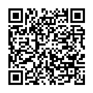Link to your fundraiser QRCode - Fundraising
