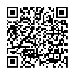 Link to your fundraiser QRCode - Fundraising