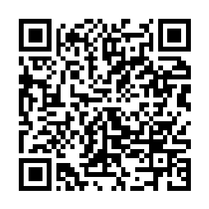 Link to your fundraiser QRCode - Fundraising