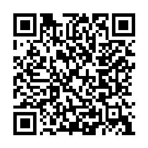 Link to your fundraiser QRCode - Fundraising