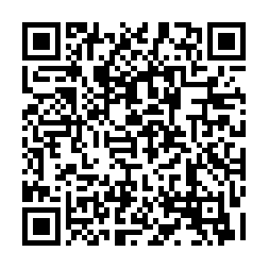 Link to your fundraiser QRCode - Fundraising