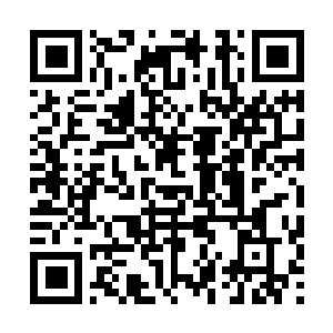 Link to your fundraiser QRCode - Fundraising