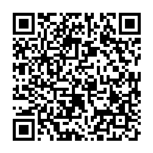 Link to your fundraiser QRCode - Fundraising