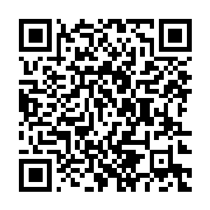 Link to your fundraiser QRCode - Fundraising