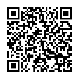 Link to your fundraiser QRCode - Fundraising