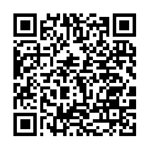 Link to your fundraiser QRCode - Fundraising