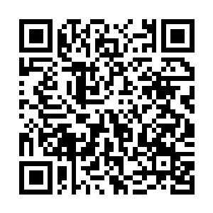 Link to your fundraiser QRCode - Fundraising