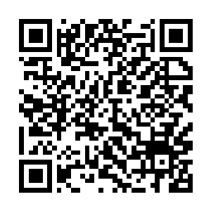 Link to your fundraiser QRCode - Fundraising