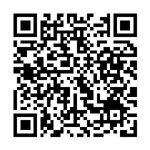 Link to your fundraiser QRCode - Fundraising