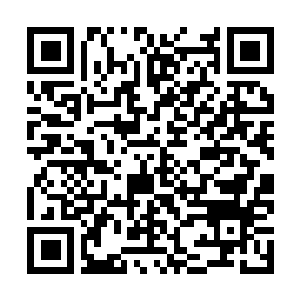 Link to your fundraiser QRCode - Fundraising