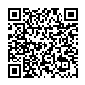 Link to your fundraiser QRCode - Fundraising