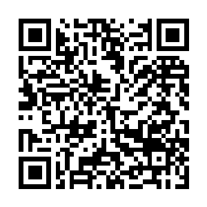 Link to your fundraiser QRCode - Fundraising