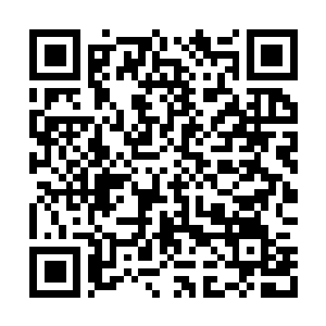 Link to your fundraiser QRCode - Fundraising