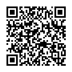 Link to your fundraiser QRCode - Fundraising
