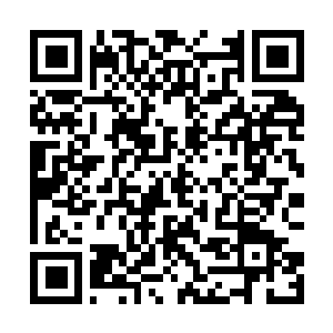 Link to your fundraiser QRCode - Fundraising