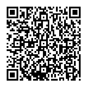 Link to your fundraiser QRCode - Fundraising