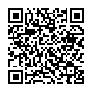 Link to your fundraiser QRCode - Fundraising